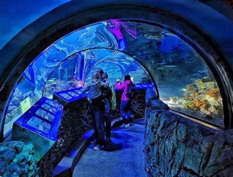 aquapark monachium|SEA LIFE Munich 